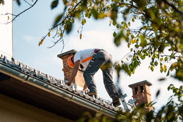 Sheet Metal Roofing in Big Rapids, MI